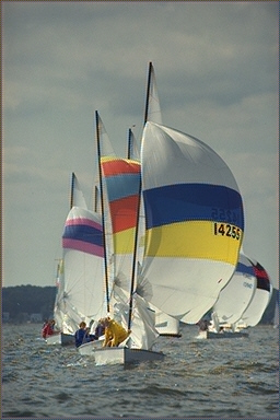 sails AP1